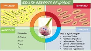 Health Benefits of Garlic